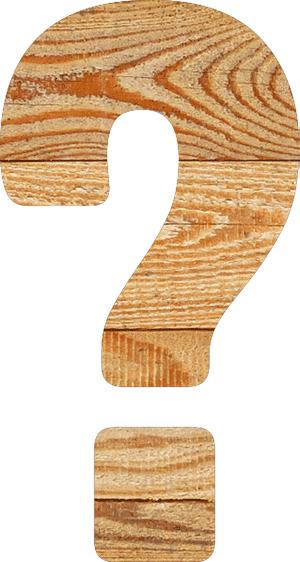 Fragen und Antworten zum Holzhausbau